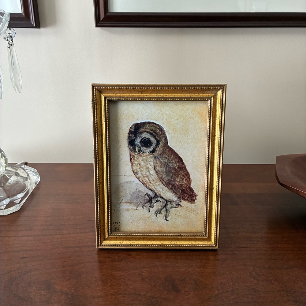 Albrecht Durer Little Owl Framed Art Print 6x8 German Renaissance Gold Wall Art
